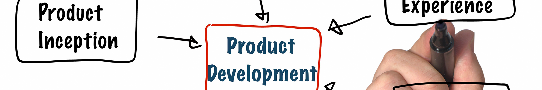 Product Development